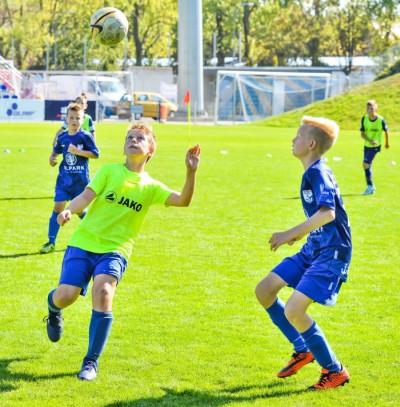 Fenestra Cup